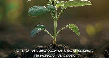 Morón conmemora el Día Mundial del Ambiente con una jornada en Plaza La Roche