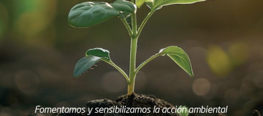 Morón conmemora el Día Mundial del Ambiente con una jornada en Plaza La Roche