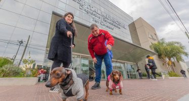 Patitas de Salud: San Fernando lanzó un programa de visitas terapéuticas con animales