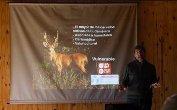 Proyecto Pantano realizó una capacitación para guías de naturaleza del Delta