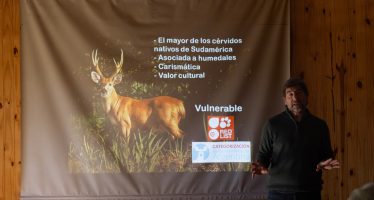 Proyecto Pantano realizó una capacitación para guías de naturaleza del Delta