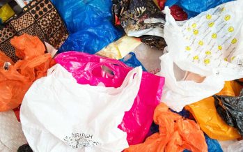 Día Internacional Libre de Bolsas de Plástico