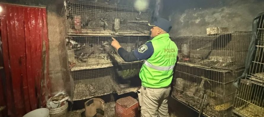 La Plata: rescataron a más de 200 animales que estaban atrapados en una casa