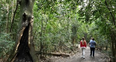 Morón celebró los 13 años de la Reserva Natural Urbana de Castelar
