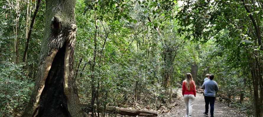 Morón celebró los 13 años de la Reserva Natural Urbana de Castelar