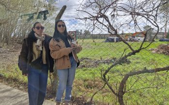 Boulogne Verde: “El fallo de la justicia nos motiva para seguir luchando”