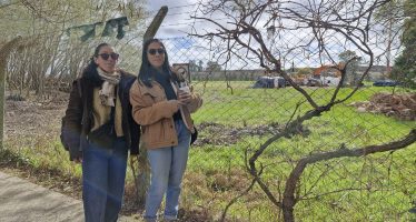 Boulogne Verde: “El fallo de la justicia nos motiva para seguir luchando”