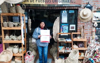 Del Gran Chaco a Buenos Aires: cursos de idiomas nativos en Tigre