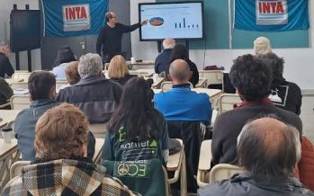 Rescate y conservación de variedades históricas de ciruelos del Delta