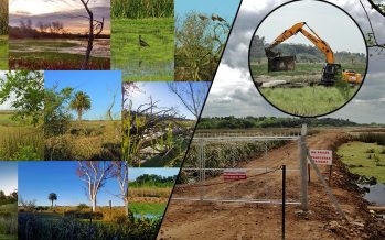 Advierten que el nuevo Código de Ordenamiento del Territorio de Escobar amenaza las reservas naturales