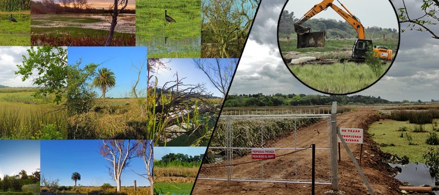 Advierten que el nuevo Código de Ordenamiento del Territorio de Escobar amenaza las reservas naturales
