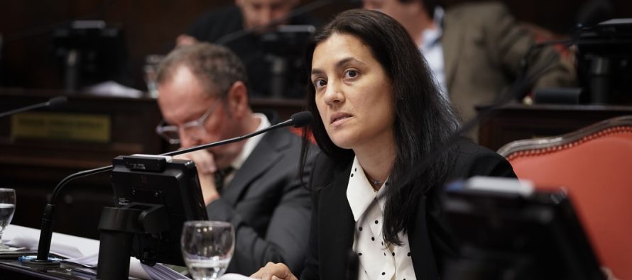 Sofía Vannelli: “En las próximas elecciones es Milei o nuestra patria”