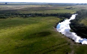 Hoy se conmemora el Día del Río Luján