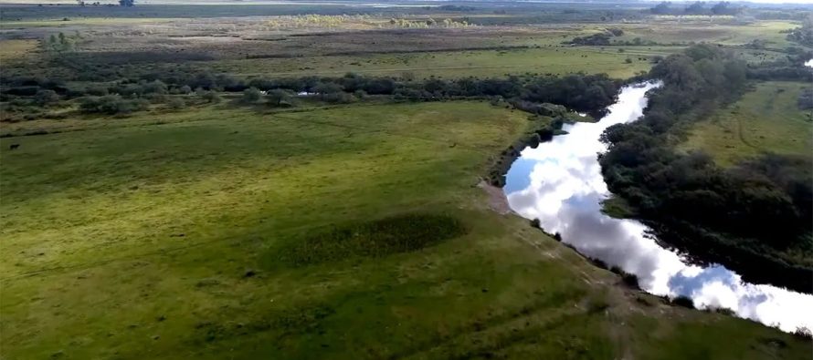 Hoy se conmemora el Día del Río Luján