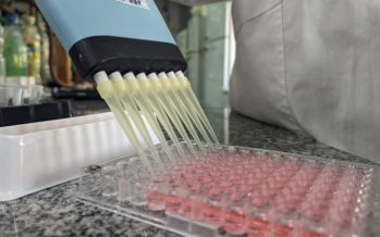 Estudian los factores ambientales que podrían incidir en el desarrollo de la celiaquía