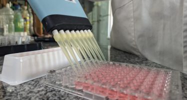 Estudian los factores ambientales que podrían incidir en el desarrollo de la celiaquía