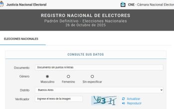 Dónde voto: la Cámara Nacional Electoral publicó el padrón para las elecciones del 26 de octubre