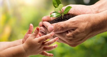 Por qué se conmemora hoy el Día Nacional de la Conciencia Ambiental