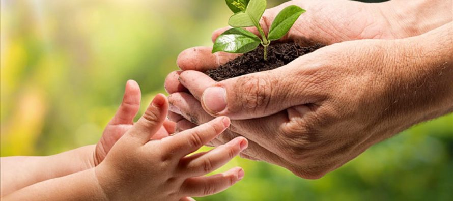 Por qué se conmemora hoy el Día Nacional de la Conciencia Ambiental