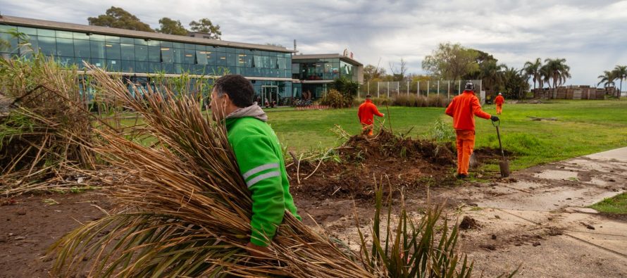 Acceso al río: en San Isidro retiraron un cerco para ampliar la costa