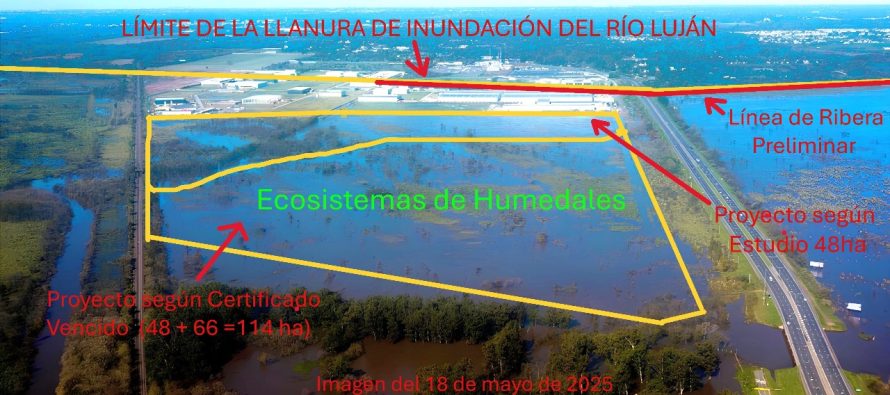 Escobar lanzó una consulta pública por un relleno de humedales en la Cuenca del Luján