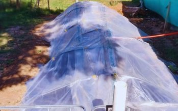 Bioenergía: un biodigestor para transformar residuos en recursos