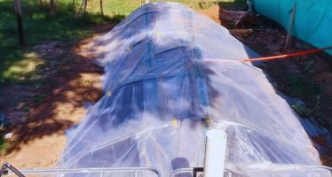 Bioenergía: un biodigestor para transformar residuos en recursos