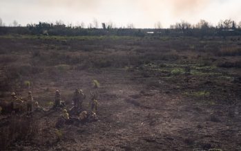 Condenaron a prisión a los apicultores acusados por los incendios en el Delta
