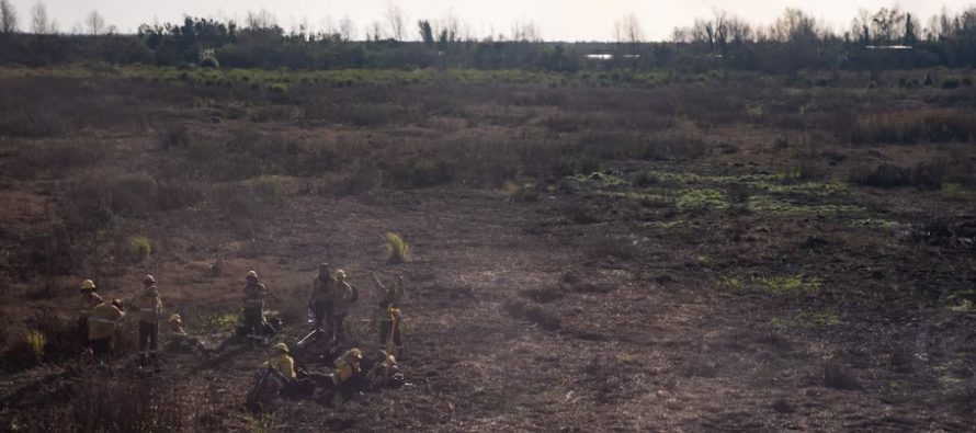 Condenaron a prisión a los apicultores acusados por los incendios en el Delta