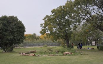 La Reserva Natural de El Palomar festeja su 2º aniversario con una gran celebración