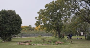 La Reserva Natural de El Palomar festeja su 2º aniversario con una gran celebración