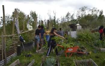 Estudiantes de la Escuela Popular San Roque de San Fernando visitaron Punta Querandí