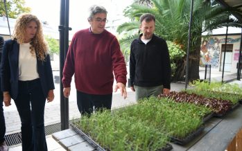 Hasta hoy está abierta la inscripción para la entrega de plantines a huertas comunitarias