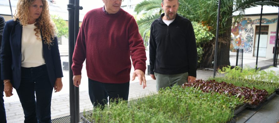 Hasta hoy está abierta la inscripción para la entrega de plantines a huertas comunitarias