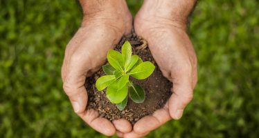 Hoy se conmemora el Día Mundial de la Ecología