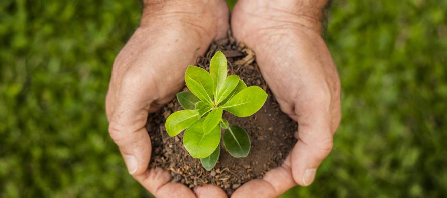 Hoy se conmemora el Día Mundial de la Ecología