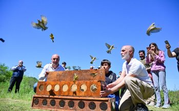 Liberación de aves silvestres nativas en la Reserva de Maschwitz