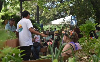 La Fiesta Nacional de la Flor incorporó propuestas ambientales