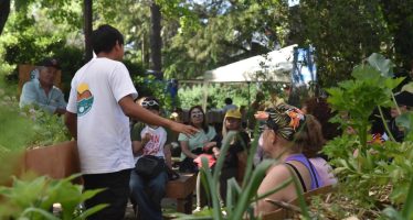 La Fiesta Nacional de la Flor incorporó propuestas ambientales