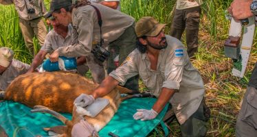 Emiliano Villegas, primer argentino en ganar el premio Clark R. Bavin por desmantelar un circuito de caza ilegal