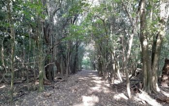 General Rodríguez avanza hacia su primera gran reserva natural