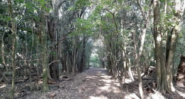 General Rodríguez avanza hacia su primera gran reserva natural