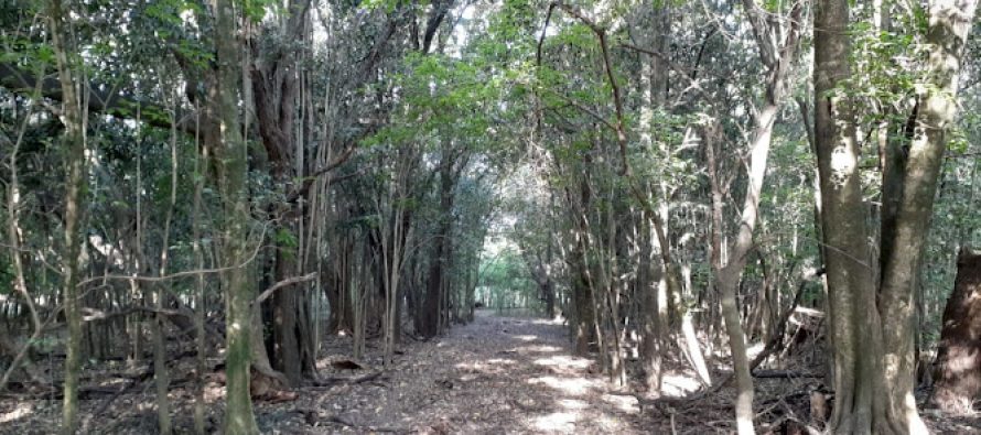 General Rodríguez avanza hacia su primera gran reserva natural