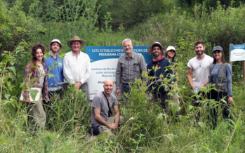Delta del Paraná: el proyecto de restauración del monte blanco