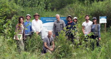 Delta del Paraná: el proyecto de restauración del monte blanco