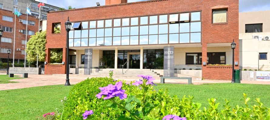 El Concejo Deliberante de Tigre aprobó la propuesta de limitar temporalmente las alturas edilicias