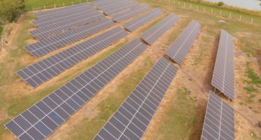 La Provincia de Buenos Aires construirá cinco nuevos parques solares
