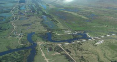 Delta del Paraná: alerta por endicamientos, terraplenes y urbanizaciones sobre humedales