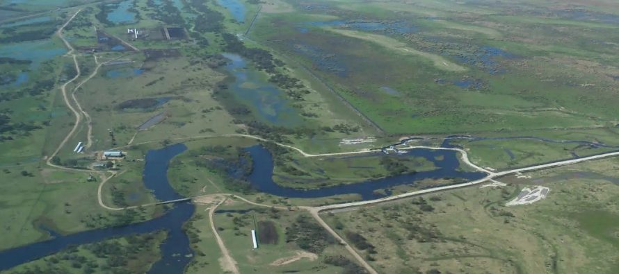 Delta del Paraná: alerta por endicamientos, terraplenes y urbanizaciones sobre humedales