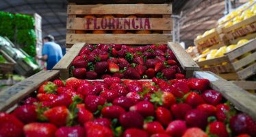 Fiesta de la Frutilla en Escobar